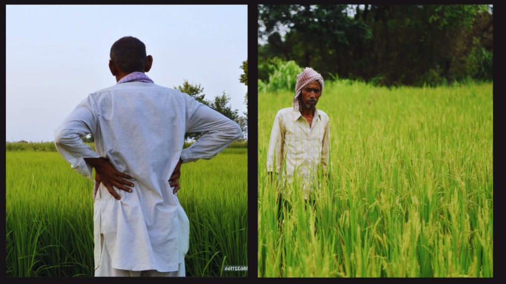 PM Kisan Yojana 19th Installment: Modi's Big Move—Farmers Rejoice!