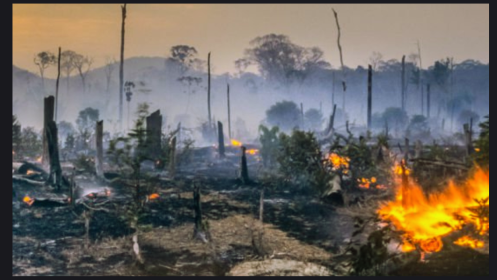 Prayagraj in Flames! The Maha Kumbh Mela Shaken Again!